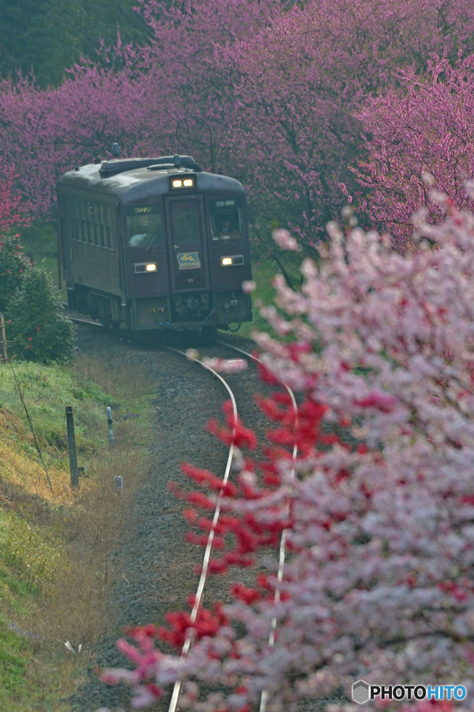 1番列車