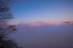 朝霧