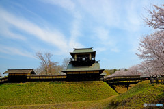 逆井城と桜
