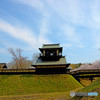 逆井城と桜