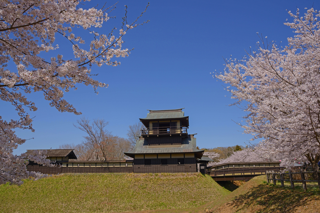 二層櫓・逆井城