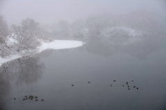 雪の朝