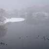 雪の朝