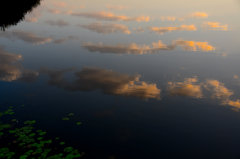 池の雲