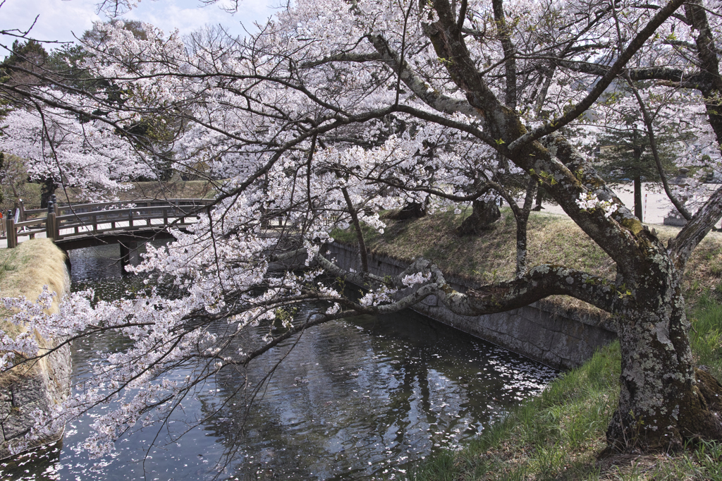 龍岡城五稜郭