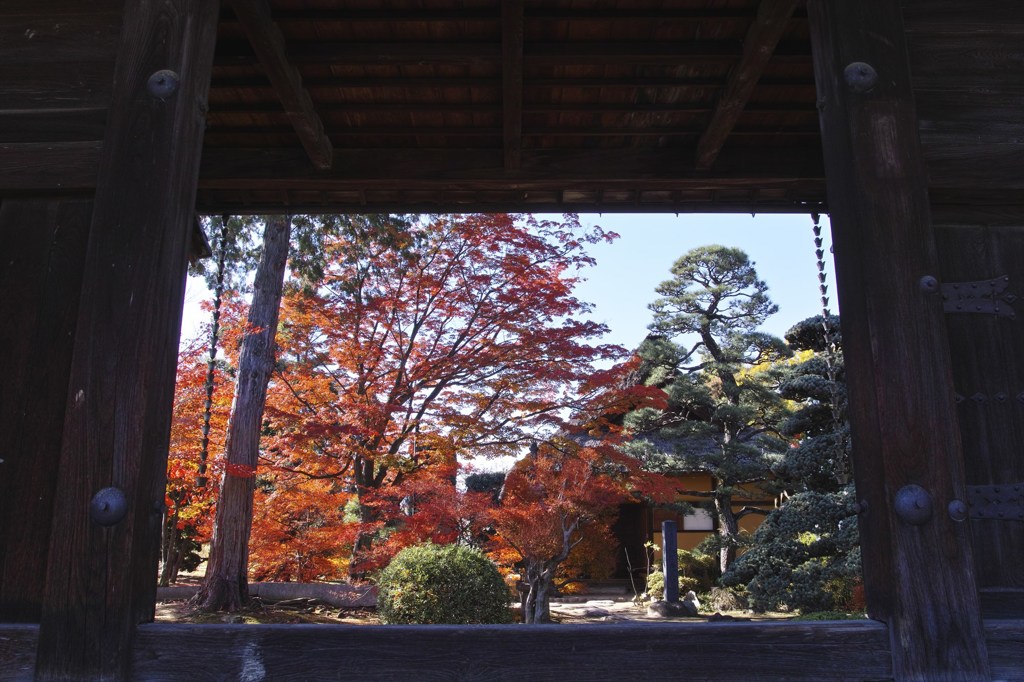 紅葉＠八田家書院