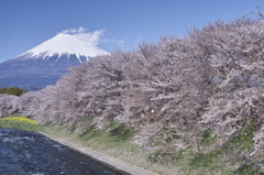 潤井川龍巌淵