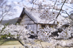 龍岡城五稜郭