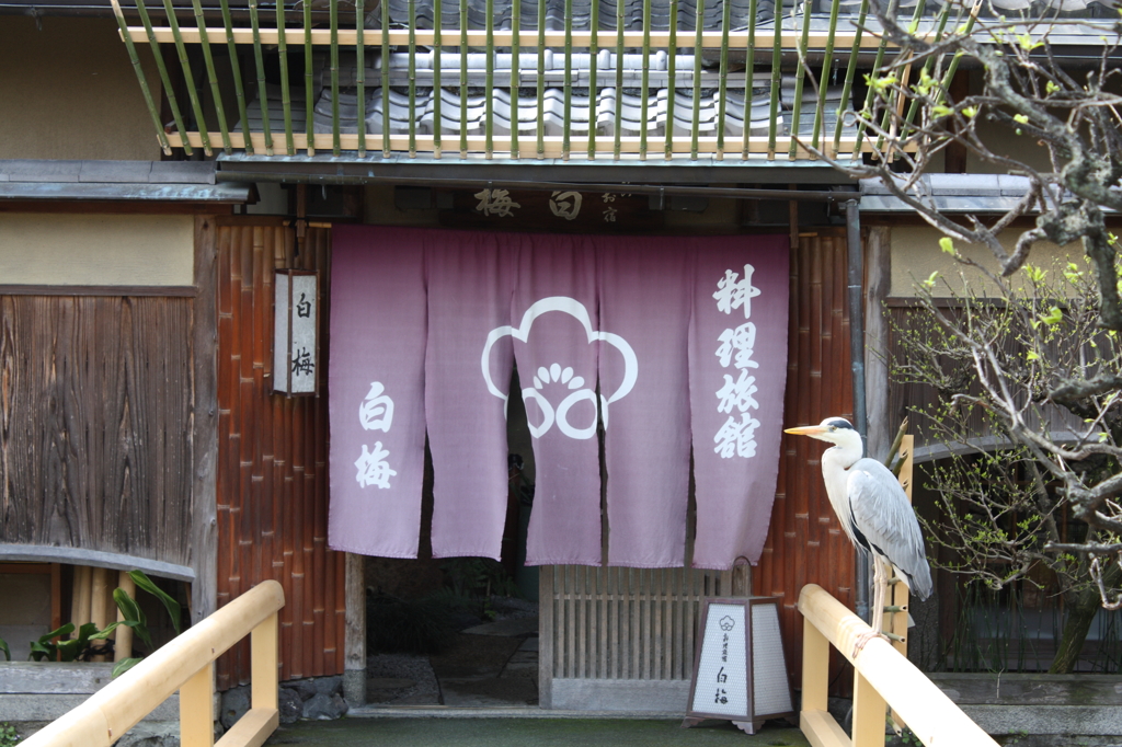 DPP_0008