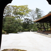DPP_0035