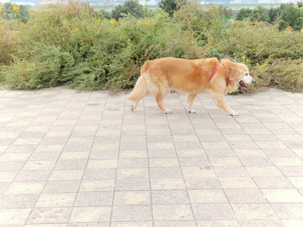 ～～～～～！