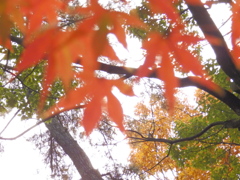 PC040276