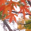 PC040276
