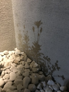 幻