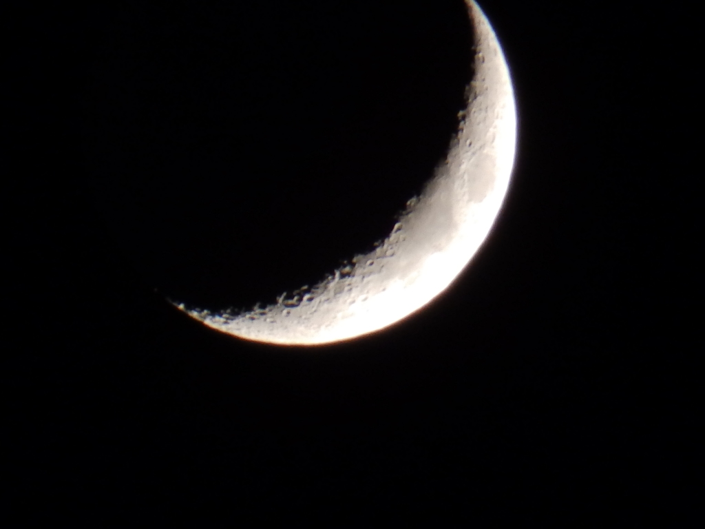 PB070239