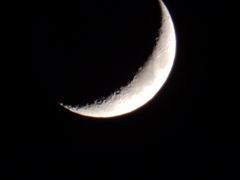 PB070239