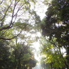 PB080242