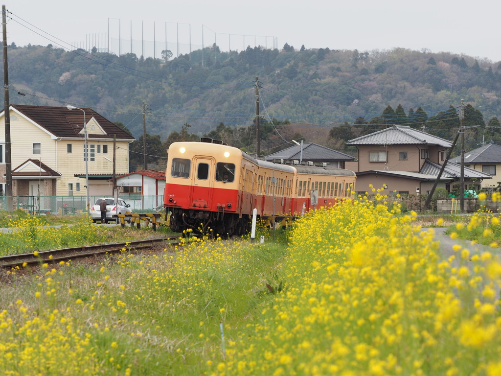 小湊鉄道