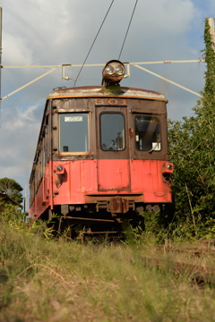 DSC_0500