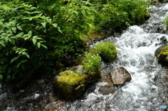 京極の名水３