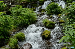 京極の名水