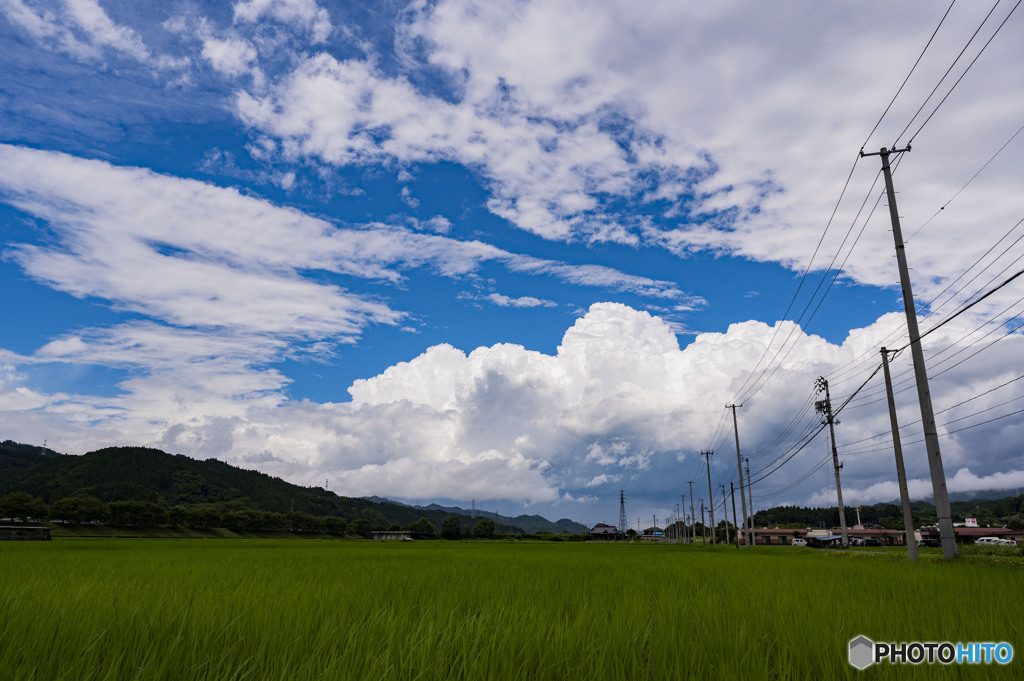 梅雨の晴れ間に２