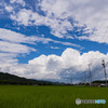 梅雨の晴れ間に２