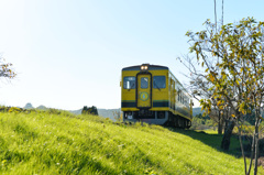 いすみ鉄道20151105②