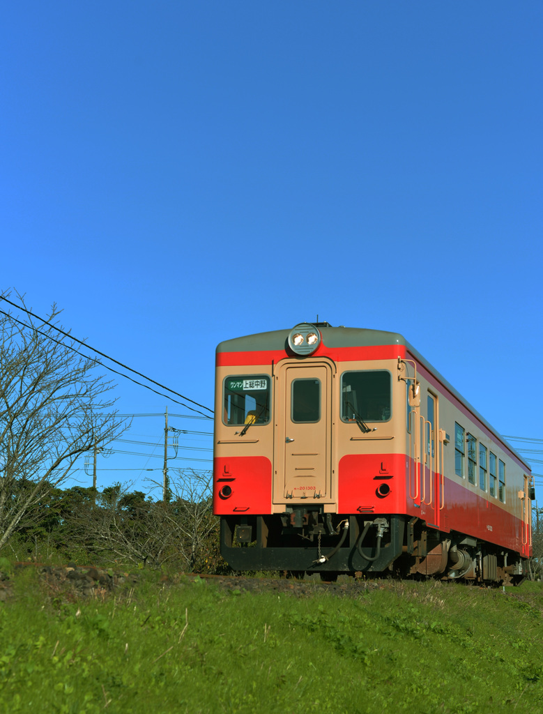 いすみ鉄道20151105