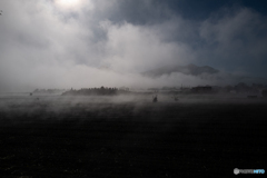 筑波の朝霧
