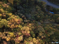 小樽市朝里ダムの紅葉２