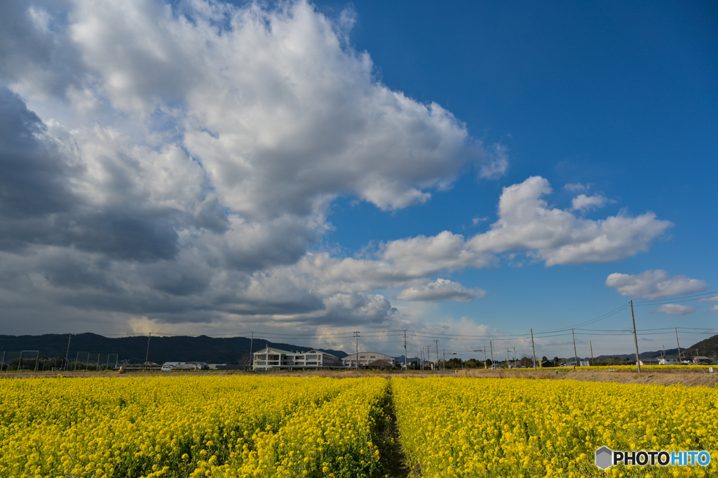 早春の鴨川へ