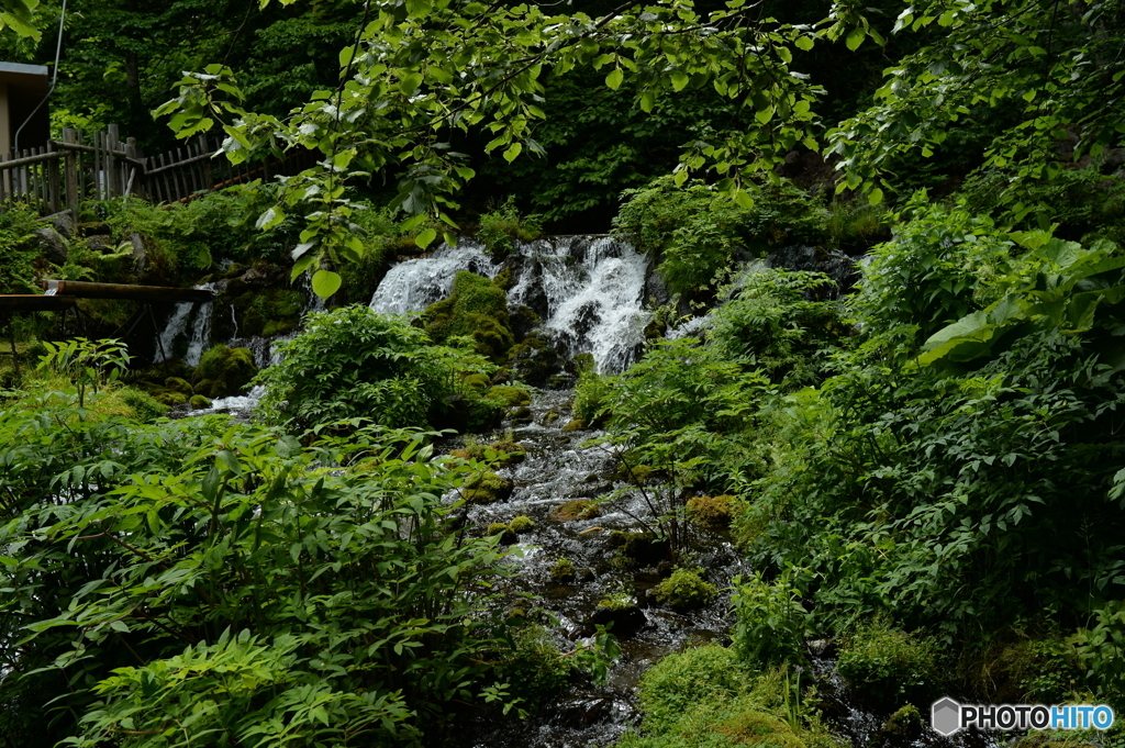 京極の名水２