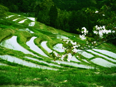 P4120088