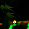 green color 