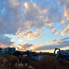 夕暮れ