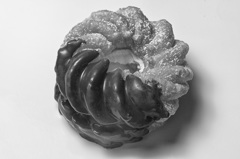 ＄１