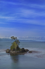 sea
