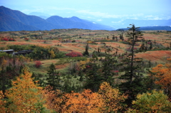 立山・弥陀ヶ原