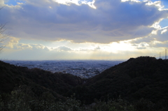 展望台からの街並み