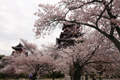 伏見桃山城