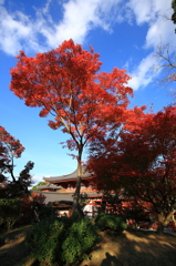 平等院にて