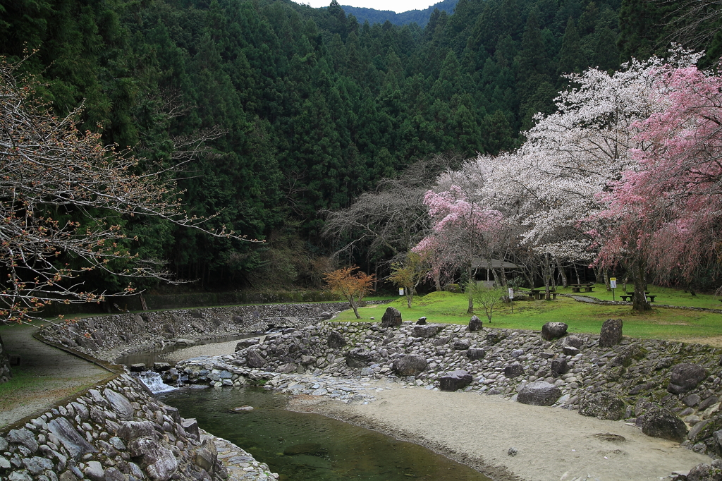 吉野山