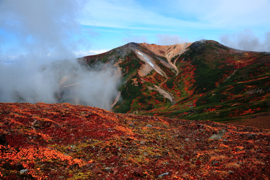 旭岳の紅葉