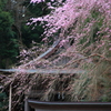 吉野山の神社