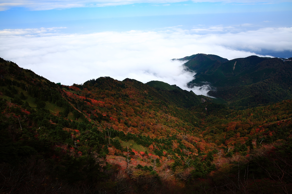 天狗岳の岩間から