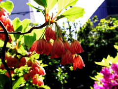 IMGP3786