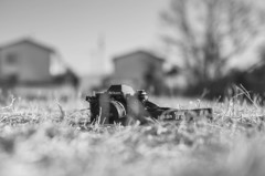 DSC_6897