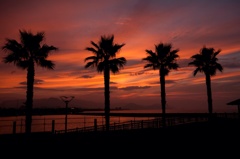 夕暮れ