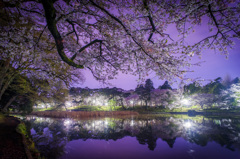 大宮公園